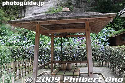 Kame-no-i Well (Jug Well)
Keywords: kanagawa kamakura meigetsu-in temple zen ajisai hydrangea flowers 