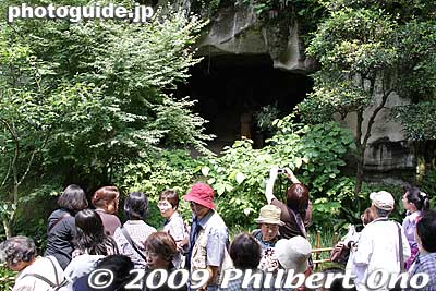 Meigetsu-in Yagura cavern.
Keywords: kanagawa kamakura meigetsu-in temple zen ajisai hydrangea flowers 