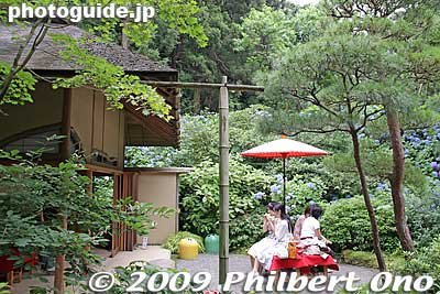 Tea house where you can buy tea or soft drinks.
Keywords: kanagawa kamakura meigetsu-in temple zen ajisai hydrangea flowers 