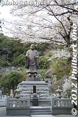 Statue of Nichiren.
Keywords: kanagawa kamakura myohonji buddhist temple nichiren sakura cherry blossoms