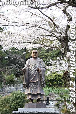 Statue of Nichiren under cherry blossoms at Myohonji temple, Kamakura.
Keywords: kanagawa kamakura myohonji buddhist temple nichiren sakura cherry blossoms