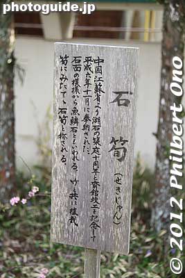 Keywords: kanagawa kamakura tsurugaoka hachimangu shrine japanese garden