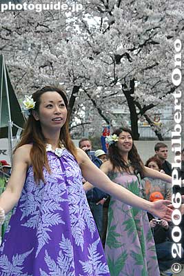 Hula and cherry blossoms
Keywords: kanagawa kawasaki kanayama jinja shrine phallus penis kanamara matsuri festival hula