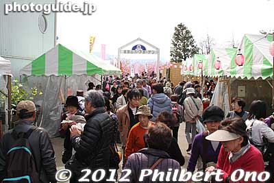 Crowded food stalls.
Keywords: kanagawa matsuda-machi town kawazu sakura matsuri cherry blossoms flowers trees