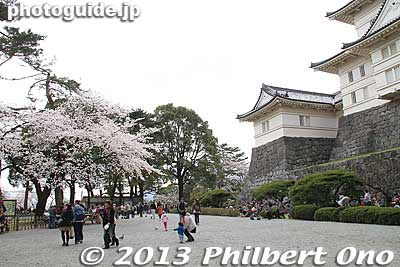 Keywords: kanagawa odawara castle cherry blossoms sakura flowers