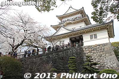 Go up these stairs to enter the main Castle tower.
Keywords: kanagawa odawara castle cherry blossoms sakura flowers