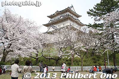 Odawara Castle has this one little picnic spot nearby.
Keywords: kanagawa odawara japancastle cherry blossoms sakura flowers