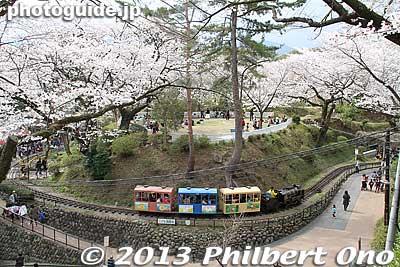 Children's amusement park near the castle tower.
Keywords: kanagawa odawara castle cherry blossoms sakura flowers