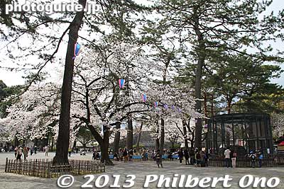 They used to be an elephant cage here.
Keywords: kanagawa odawara castle cherry blossoms sakura flowers