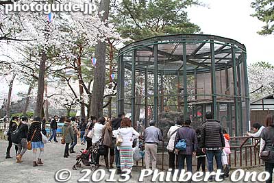 Now they only have a monkey cage.
Keywords: kanagawa odawara castle cherry blossoms sakura flowers