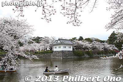 Too bad there wasn't any blue sky when I was there.
Keywords: kanagawa odawara castle cherry blossoms sakura flowers
