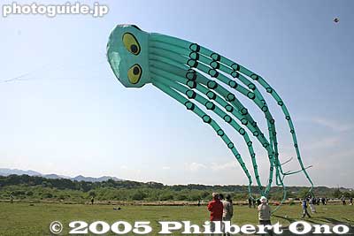 Tako
Kites in the shape of an octopus is common because the Japanese word for kite is "tako" which is the same pronunciation for the word octopus in Japanese.
Keywords: kanagawa, sagamihara, giant kite, matsuri, festival, odako