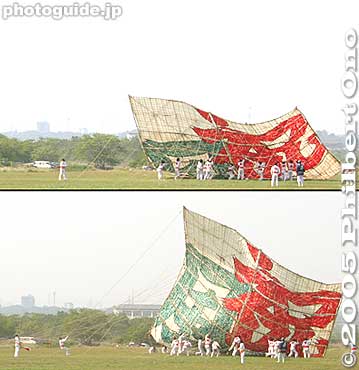 Inadequate winds. The kite struggles to lift off.
Keywords: kanagawa, sagamihara, giant kite, matsuri, festival, odako