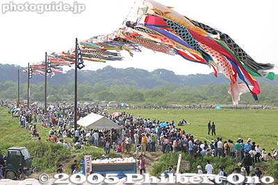 Keywords: kanagawa, sagamihara, giant kite, matsuri, festival, odako, koinobori, carp