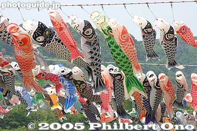 The longest carp is 10 meters.
Keywords: kanagawa, sagamihara, koinobori, matsuri, festival, koi-nobori, children's day, carp streamers
