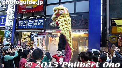 The lion danced for a few minutes in front of each shop or restaurant. They also went inside and danced. The first lion I saw was yellow.
Keywords: kanagawa yokohama chinatown chinese new year
