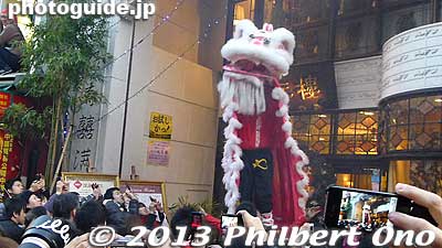 The lion plucks a red envelope containing money from each merchant. 
Keywords: kanagawa yokohama chinatown chinese new year