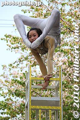 Wow...
Keywords: kanagawa yokohama noge daidogei street performers performances chinese acrobats 