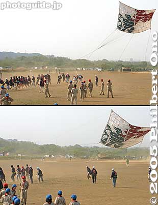 The kite pullers can only run so far (about 50 meters or so). After that, if the wind doesn't kick in, the kite falls back down.
Keywords: kanagawa, zama, giant kite, matsuri, festival, odako