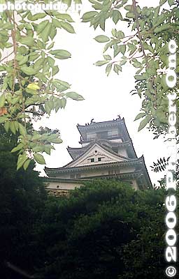Keywords: kochi prefecture castle