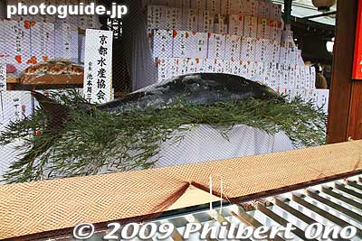 Big tuna fish
Keywords: kyoto toka ebisu shrine jinja festival matsuri 
