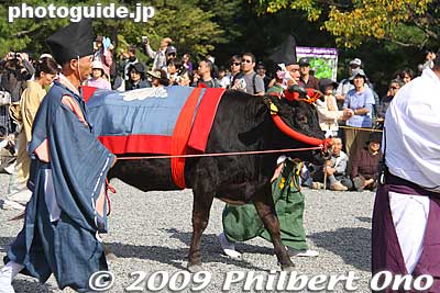 Ox
Keywords: kyoto jidai matsuri festival of ages