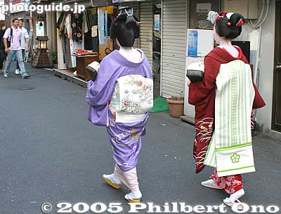 A geisha/geiko and maiko head to the theater to see the Kamogawa Odori. Notice the different obi sash on the back.
A maiko is an apprentice geisha. Her obi sah on the back is long, as well as her sleeves.
Keywords: kyoto kamogawa odori geisha dance pontocho japangeisha
