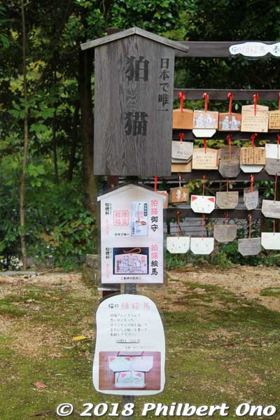 "Koma-neko Unique in Japan"
Keywords: kyoto kyotango Kotohira Konpira Shinto shrine koma-neko cat guardians