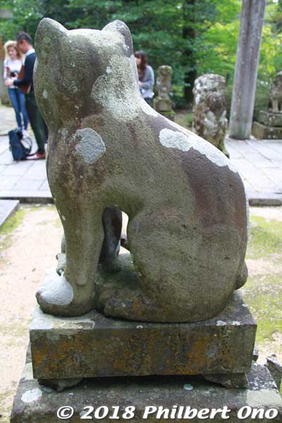 Keywords: kyoto kyotango Kotohira Konpira Shinto shrine koma-neko cat guardians