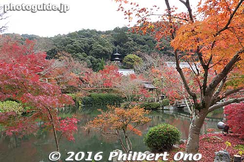 Hojo-ike Pond. The two-story pagoda (Tahoto) in the distance.
Keywords: kyoto eikando buddhist temple jodo-shu autumn foliage leaves fall maples
