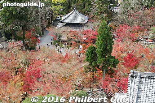 View from the two-story Tahoto pagoda on the hillside at Eikando.
Keywords: kyoto eikando buddhist temple jodo-shu autumn foliage leaves fall maples japanaki