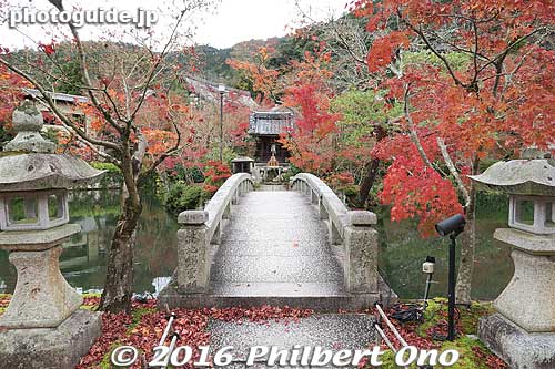 Bridge to Benten-shima on Hojo-ike Pond.
Keywords: kyoto eikando buddhist temple jodo-shu autumn foliage leaves fall maples