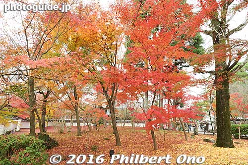 Eikando
Keywords: kyoto eikando buddhist temple jodo-shu autumn foliage leaves fall maples japanaki