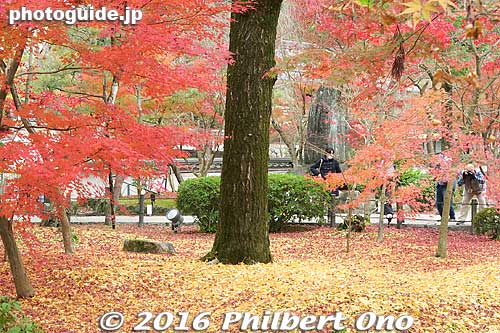 Eikando, Kyoto
Keywords: kyoto eikando buddhist temple jodo-shu autumn foliage leaves fall maples japanaki