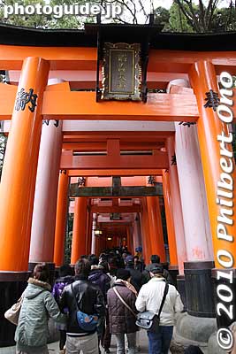 Entrance to the hiking trail of torii gates.
Keywords: kyoto Fushimi Inari Taisha Shrine matsuri01