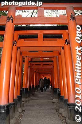 Continuing up the torii hiking trail. It takes about 90 min. to walk the entire looping trail. You can turn back anytime if it's too hard for you. But it's not a difficult hike.
Keywords: kyoto Fushimi Inari Taisha Shrine 