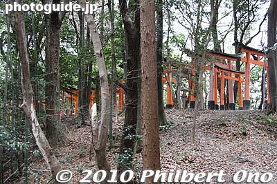 Keywords: kyoto Fushimi Inari Taisha Shrine 