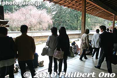 Ryoanji temple crowded with people.
Keywords: kyoto temple
