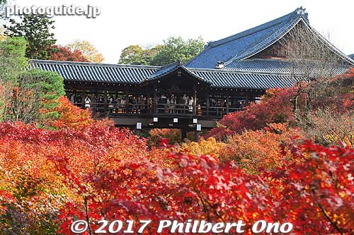 This is the symbol of Tofukuji temple, a bridge named Tsutenkyo (通天橋) that goes across this mass of red Japanese maple trees. You see this photo in all the Kyoto travel brochures.
Keywords: kyoto higashiyama-ku tofukuji temple zen fall autumn foliage leaves maples japantemple