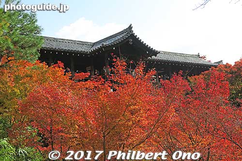 That's the bridge where everybody is going.  Tsutenkyo (通天橋)
Keywords: kyoto higashiyama-ku tofukuji temple zen fall autumn foliage leaves maples