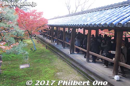 Tsutenkyo Bridge. 
Keywords: kyoto higashiyama-ku tofukuji temple zen fall autumn foliage leaves maples