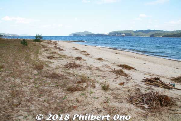 This part of the beach had many little piles of driftwood which they were cleaning up.
Keywords: kyoto miyazu Amanohashidate