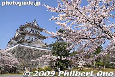 Iga-Ueno Castle and cherry blossoms, Mie Prefecture.
Keywords: mie iga-ueno castle cherry blossoms sakura 