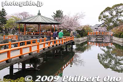 Many red bridges at Kyuka Park.
Keywords: mie kuwana kyuka park cherry blossoms castle sakura moat