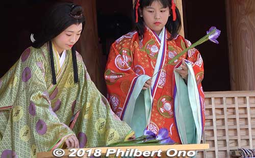 The Nyo-betto (女別当), who was the supervisor of the court ladies at special occasions such as the Saio procession, offer an iris flower.
Keywords: mie meiwa saiku saio matsuri festival