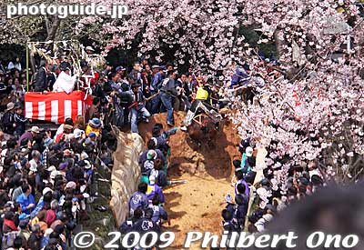 Keywords: mie toin-cho oyashiro matsuri festival ageuma horse inabe shrine cherry blossoms sakura