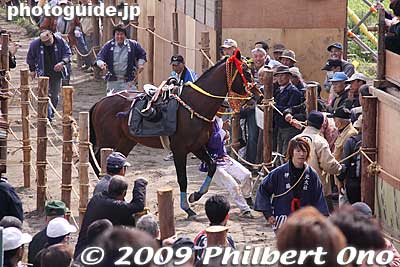 Next horse up. In the past, they spiked the horse with stimulants to make it more excited, but they discontinued that practice.
Keywords: mie toin-cho oyashiro matsuri festival ageuma horse inabe shrine 