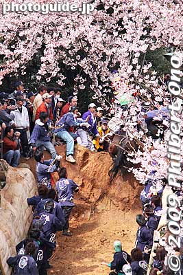 The horse makes a nice leap up.
Keywords: mie toin-cho oyashiro matsuri festival ageuma horse inabe shrine 