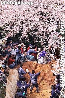 Victory! Also see my [url=http://www.youtube.com/watch?v=84GUyXnlAoY]YouTube video here.[/url]
Keywords: mie toin-cho oyashiro matsuri festival ageuma horse inabe shrine 