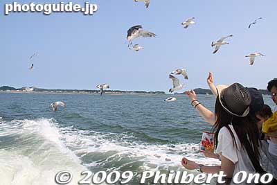 Keywords: miyagi matsushima-machi nihon sankei scenic trio pine trees islands boat cruise birds sea gulls
